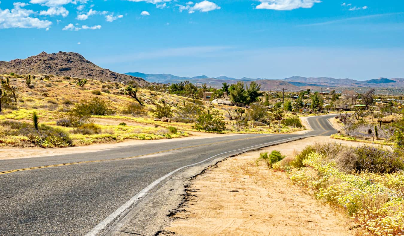 The open road cutting through Joshua Tree Park in the rugged desert of California during a road trip